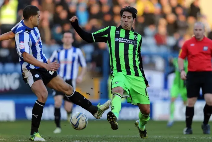 Framed Print : Brighton & Hove Albion vs Sheffield Wednesday: Leonardo Ulloa in Action, Npower Championship, February 2013 Framed Print : Brighton & Hove Albion vs Sheffield Wednesday: Leonardo Ulloa in Action, Npower Championship, February 2013