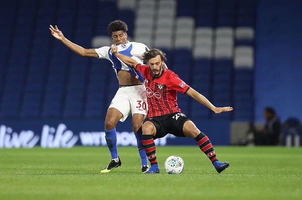 Brighton and Hove Albion vs Southampton: Carabao Cup Showdown at American Express Community Stadium (28Aug18)