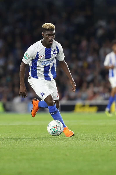 Brighton and Hove Albion vs. Southampton: Carabao Cup Showdown at American Express Community Stadium (28AUG18)