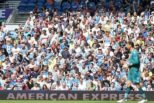 Brighton and Hove Albion vs. SS Lazio: Pre-Season Clash at American Express Community Stadium (July 31, 2016)