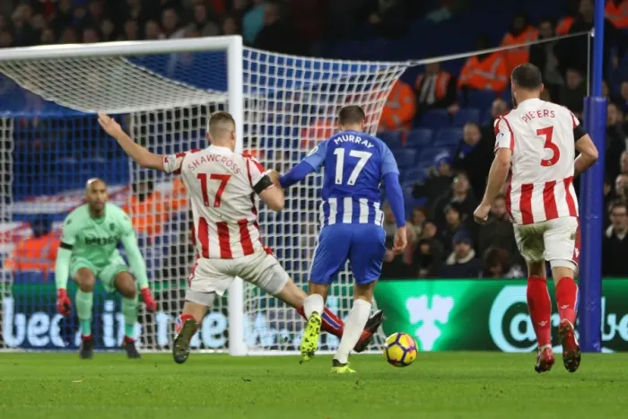 Framed Print : Brighton and Hove Albion vs Stoke City: Premier League Showdown at American Express Community Stadium (November 2017)