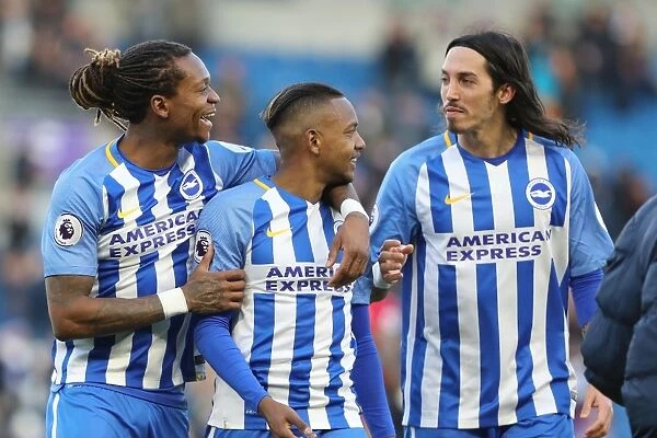 Brighton and Hove Albion vs Swansea City: A Premier League Battle at American Express Community Stadium - February 2018
