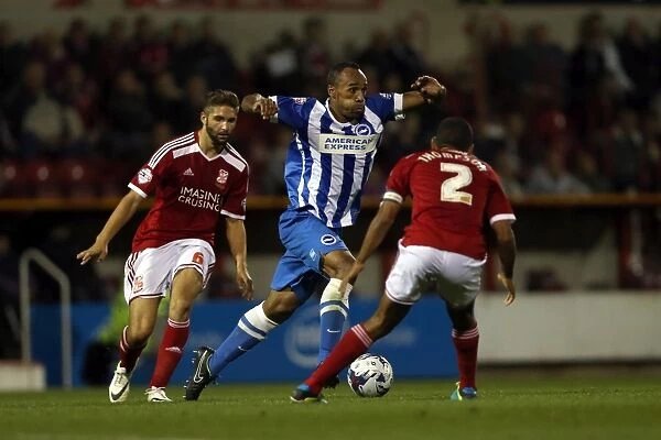 Brighton & Hove Albion vs Swindon Town: 2014-15 Away Game (August 26)