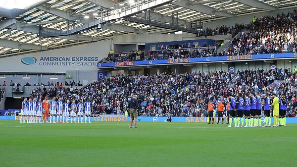 Brighton & Hove Albion vs. Tottenham Hotspur: 2022 / 23 Premier League Clash at American Express Community Stadium (8th October)