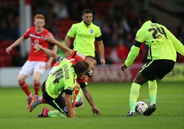 Brighton and Hove Albion vs. Walsall: Capital One Cup Battle at Bescot Stadium (25AUG15)