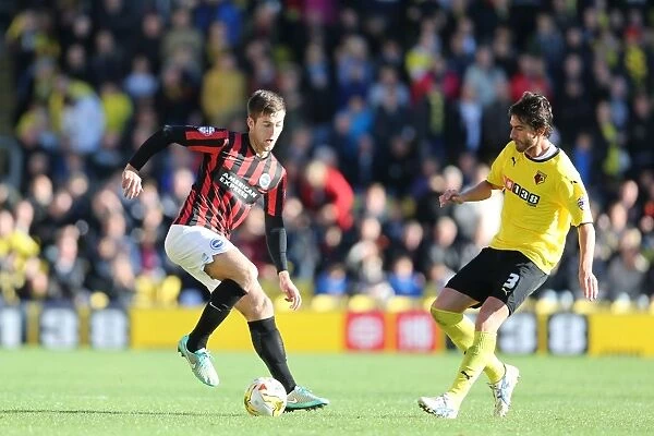 Brighton & Hove Albion vs. Watford: 2014-15 Away Game