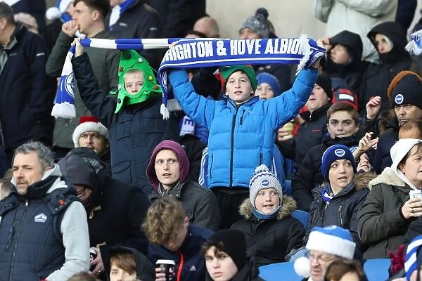 Brighton and Hove Albion vs. Watford: A Sea of Passionate Fans (23DEC17)