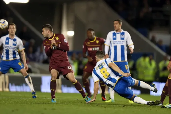 Framed Print : Brighton & Hove Albion vs. Watford (28-10-2013): Fright Night Home Game