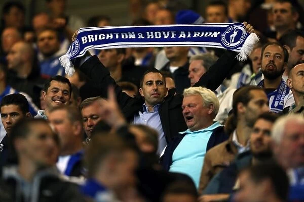 Brighton & Hove Albion vs. Watford: 2012-13 Away Game