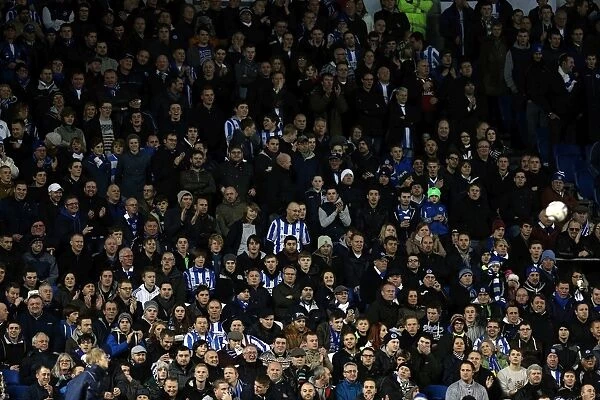 Brighton & Hove Albion vs. Watford: A Nostalgic Look Back at the December 29, 2012 Home Game