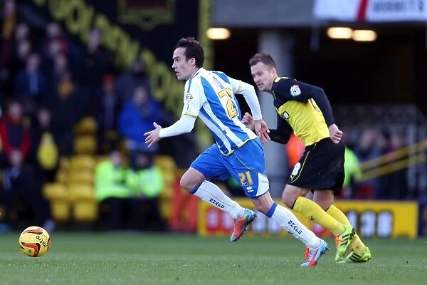 Brighton & Hove Albion vs. Watford FC: 2013-14 Away Game (February 2, 2014)