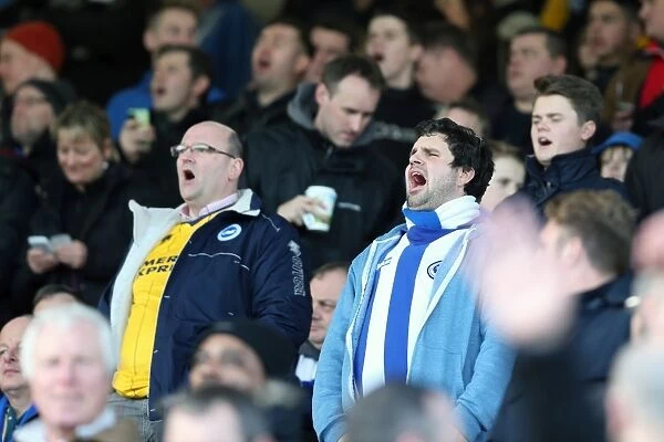 Brighton & Hove Albion vs. Watford FC - 02-02-2014: Away Game, 2013-14 Season