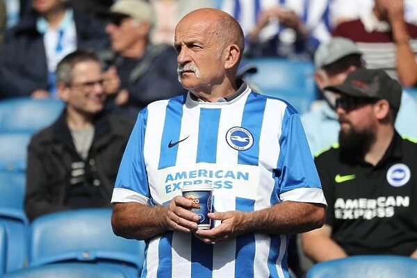 Brighton and Hove Albion vs. West Bromwich Albion: Premier League Battle at American Express Community Stadium (September 9, 2017)