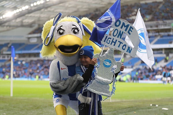 Brighton & Hove Albion vs. West Bromwich Albion: FA Cup Battle at American Express Community Stadium (26th January 2019)