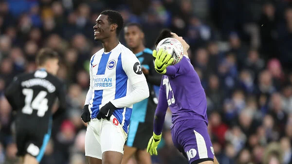 Brighton and Hove Albion vs. West Bromwich Albion: FA Cup Showdown at American Express Community Stadium (26th January 2019)