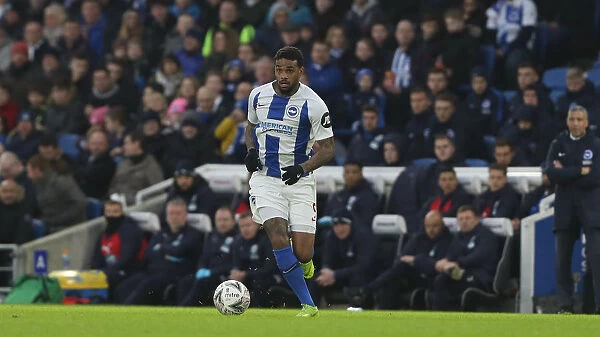 Brighton & Hove Albion vs. West Bromwich Albion: Emirates FA Cup Clash at American Express Community Stadium (26th January 2019)