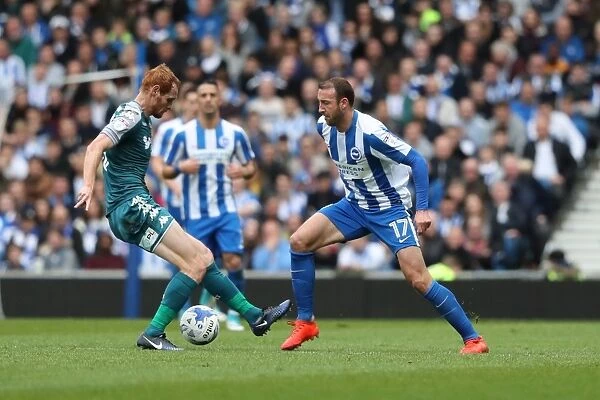 Brighton and Hove Albion vs. Wigan Athletic: A Tight Championship Battle at American Express Community Stadium (17APR17)