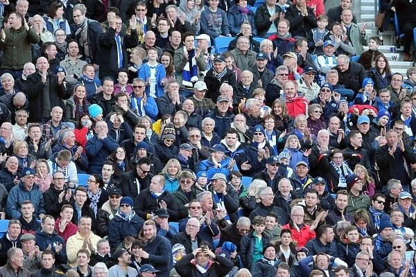 Brighton & Hove Albion vs. Wigan Athletic: 2013-14 Home Game (February 22)