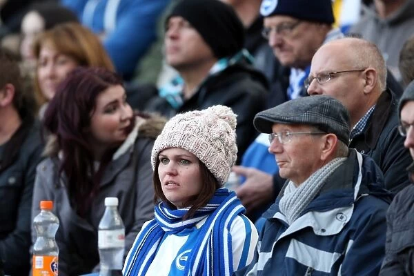 Brighton & Hove Albion vs. Wigan Athletic (2013-14 Season): Home Game Highlights - 22nd February 2014