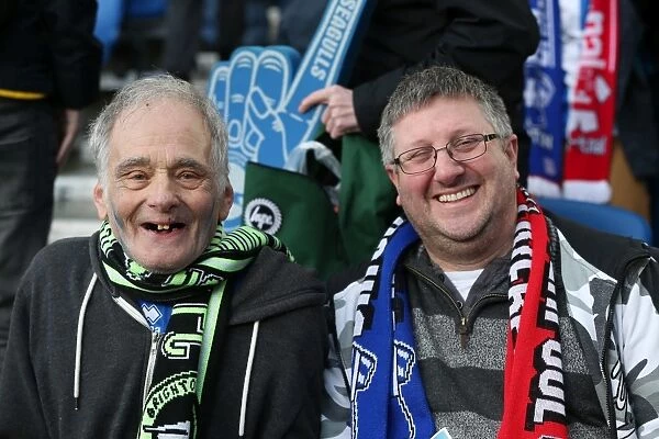 Brighton & Hove Albion vs. Wigan Athletic (22-02-2014): A Home Game from the 2013-14 Season