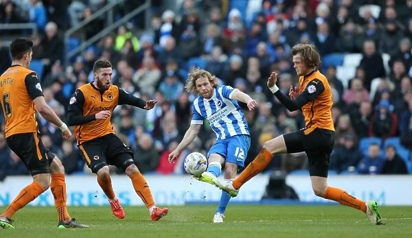 Brighton & Hove Albion vs. Wolverhampton Wanderers: Craig Mackail-Smith's Thrilling Performance in the Sky Bet Championship Clash (14 March 2015)