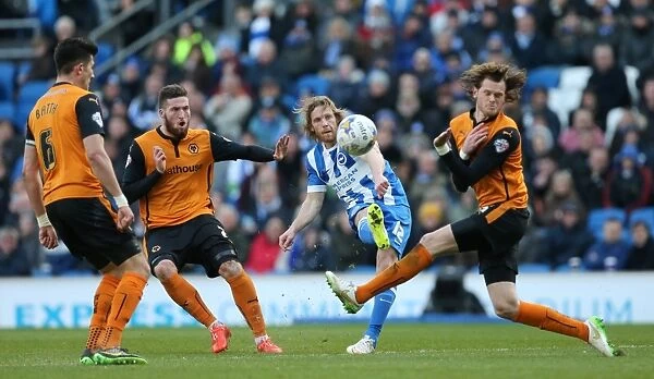 Brighton & Hove Albion vs. Wolverhampton Wanderers: Craig Mackail-Smith's Thrilling Performance in the Sky Bet Championship Clash (14 March 2015)
