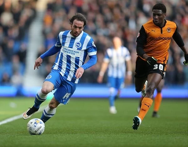 Brighton & Hove Albion vs. Wolverhampton Wanderers: Inigo Calderon's Action-Packed Performance in the Sky Bet Championship Clash (14 March 2015)