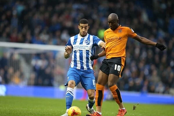 Brighton and Hove Albion vs. Wolverhampton Wanderers: A Sky Bet Championship Battle (01 / 01 / 2016)