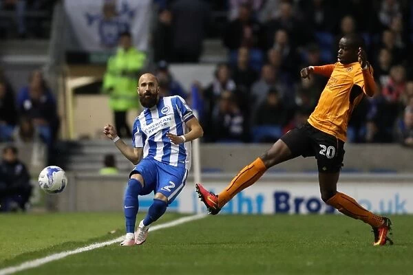 Brighton and Hove Albion vs. Wolverhampton Wanderers: Sky Bet Championship Clash at American Express Community Stadium (19th October 2016)