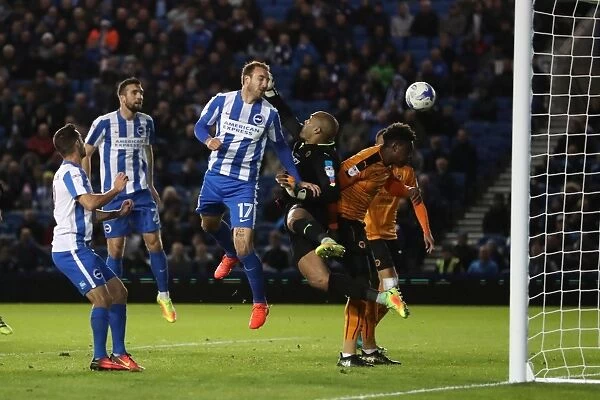 Brighton and Hove Albion vs. Wolverhampton Wanderers: A Tight Battle in the EFL Sky Bet Championship (19th October 2016)