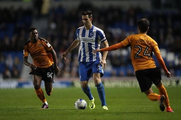 Brighton and Hove Albion vs. Wolverhampton Wanderers: A Championship Showdown at the American Express Community Stadium (19th October 2016)