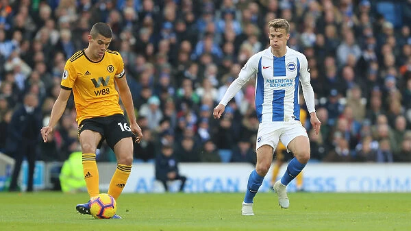 Brighton and Hove Albion vs. Wolverhampton Wanderers: A Premier League Battle at American Express Community Stadium (26th October 2018)