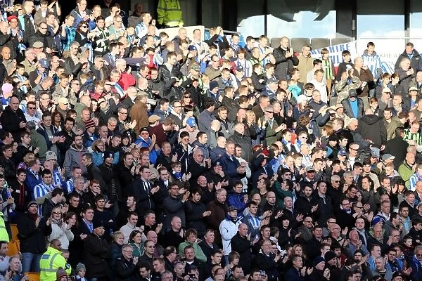 Brighton & Hove Albion vs. Wolves: 2012-13 Away Game