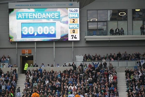 Brighton & Hove Albion vs. Wolves: 2012-13 Home Game