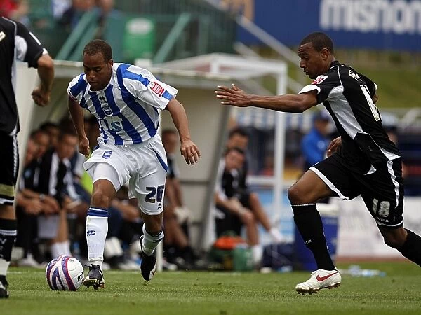 Brighton & Hove Albion vs Wycombe Wanderers: 2009-10 Home Season
