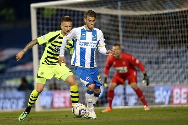 Brighton & Hove Albion vs. Yeovil Town: 25 April 2014 (The Seagulls Home Stand against The Glovers)