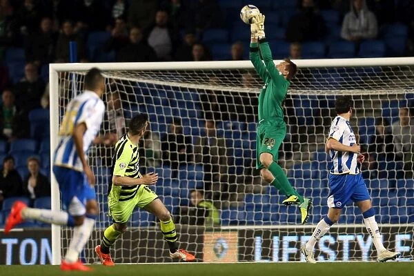 Brighton & Hove Albion vs. Yeovil Town: 25 April 2014 (The Seagulls Home Stand)