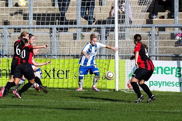 Brighton & Hove Albion Women's Football: 2013-14 Season - Lewes Matches