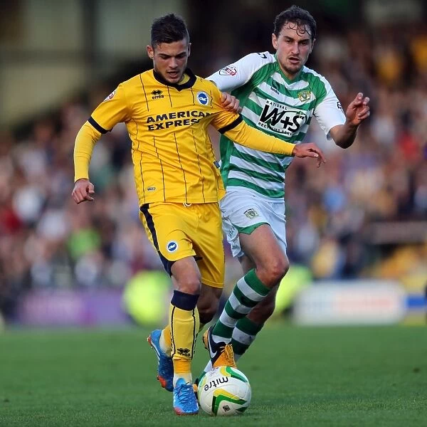 Brighton & Hove Albion at Yeovil Town (2013-14 Season): Away Game Highlights