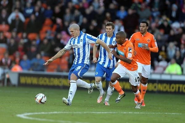 Brighton & Hove Albion's Adam El-Abd in Action Against Blackpool, Championship Clash, October 27, 2012