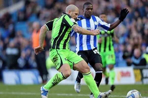 Brighton & Hove Albion's Adam El-Abd Clears the Ball at Sheffield Wednesday, February 2013