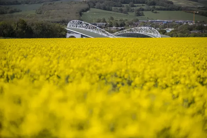 Framed Print : Brighton and Hove Albion's Amex Stadium Surrounded by Rapeseed Fields, May 2018