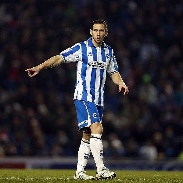 Brighton & Hove Albion's Andrew Crofts Amidst the Forest of Amex Stadium during Millwall Match, December 18, 2012