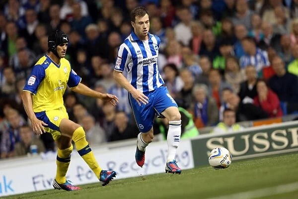 Brighton & Hove Albion's Ashley Barnes in Action Against Sheffield Wednesday, September 14, 2012