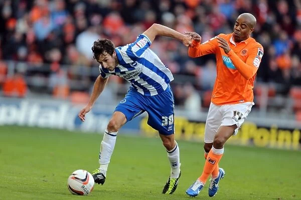 Brighton & Hove Albion's Will Buckley in Action against Blackpool, Npower Championship, October 2012