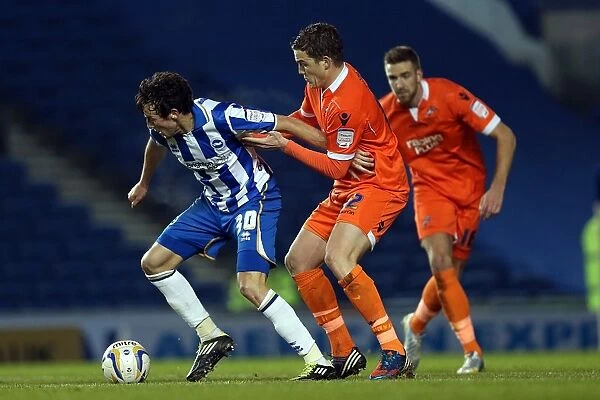 Brighton & Hove Albion's Will Buckley in Action against Millwall, December 18, 2012