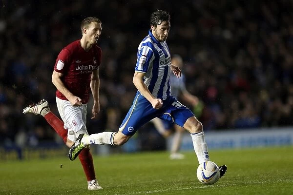 Brighton & Hove Albion's Will Buckley Narrowly Misses Late Goal Against Nottingham Forest, Npower Championship, December 15, 2012