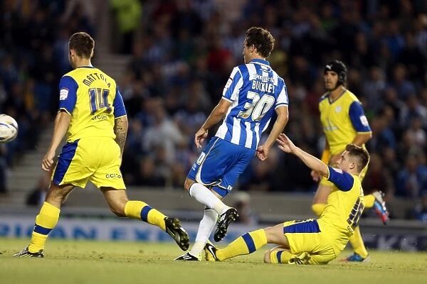Brighton & Hove Albion's Will Buckley Scores the Winning Goal Against Sheffield Wednesday, September 14, 2012