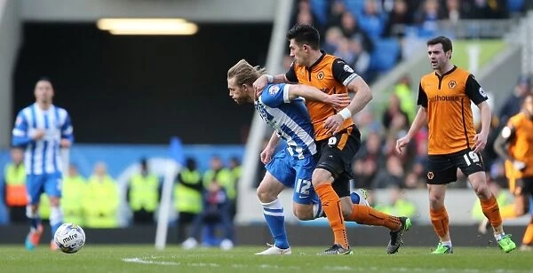 Brighton & Hove Albion's Craig Mackail-Smith Fights for Goal Against Wolverhampton Wanderers in Championship Clash, March 2015