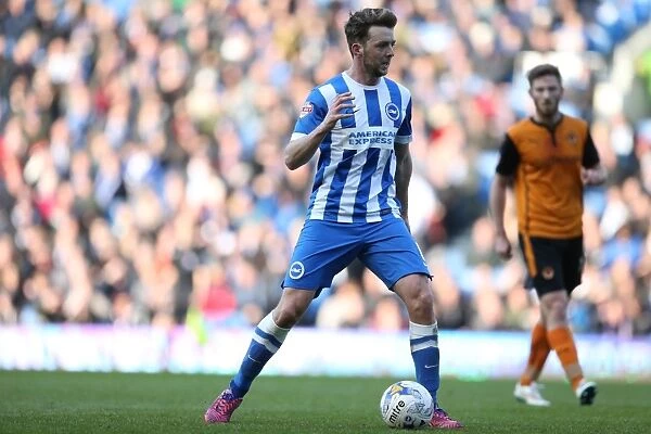 Brighton & Hove Albion's Dale Stephens in Action Against Wolverhampton Wanderers, Sky Bet Championship 2015